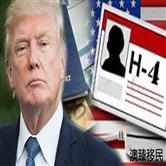 美国将取消H-4签证的工作许可，或致使部分H-1B持有者放弃身份！