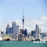 新西兰移民就业展望：未来三年热门行业有哪些？