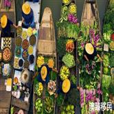 泰国曼谷生活感受如何,慢下来更能感受快乐! 泰国曼谷生活感受如何,慢下来更能感受快乐!