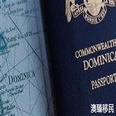 想要移民多米尼克，申请一张多国护照即可！