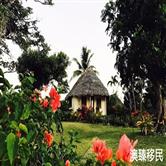 想了解瓦努阿图的真实生活？5位华人分享移民后的切身感受