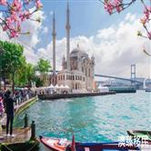 土耳其护照免签美国吗，持有土耳其护照可申请美国E2签证