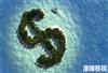 离岸金融胜地多米尼克避税优势一览