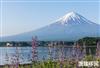 日本入籍最新条件是什么，2022政策详解