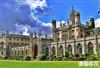 2022年英国第一季度移民数据出炉，投资移民获批者大降