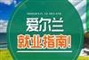 移民爱尔兰找工作容易吗，去国际大公司需要满足什么条件？ 