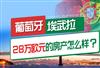 28万欧元购房移民葡萄牙有哪些城市可以选择？身份方面有风险吗？