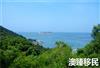 澳洲457签证转永居无望？南澳州担保递出橄榄枝！