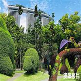 新加坡移民政策2021最新条件详解! 新加坡移民政策2021最新条件详解!